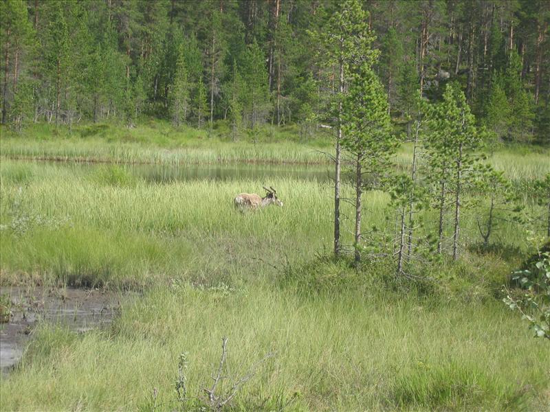 Sweden 2006-07 032